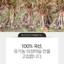 흑건보