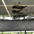 양상 태양광발전소 이미지