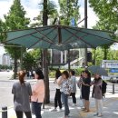 그늘막72 이미지