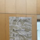 삼리2길 | 양산 상북면 숲세권 카페 ‘아미드포레’ 일요일 방문 후기 및 주차 정보