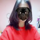 삼다푸줏간 | [바쁜일상] 후딱 지나간 2월의 일상