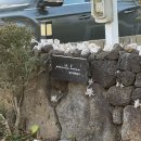 제주서쪽감성숙소 제주애물들다 이미지