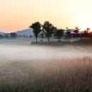 소래습지생태공원 이미지