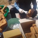 수제가축병원 이미지