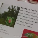 해동 농장 이미지