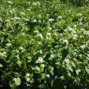 성지행정사사무소 이미지