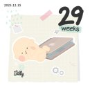 동평화치과의원 | [임신29주차] 은평성모에서 허유재로 전원, 증상, 아기발달, 백일해접종,