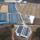 용계태양광발전소 이미지