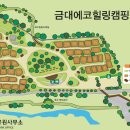 금대에코힐링캠핑장 이미지