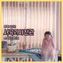 원주사진관에서 만난 샐리의 여섯 번째 생일, 서곡리사진관에서 남긴 반짝이는 순간