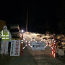 영암오리 이미지