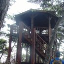 장성읍 시가지2 이미지