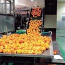 정산영농조합법인 이미지