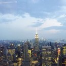 고속버스터미널 | 넓고 편한 좌석에서 즐기는 쉐이크쉑 고속버스터미널점 햄버거 후기