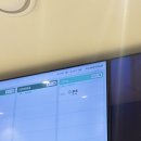 분당삼평-D-3 | 분당헤르쯔 동물병원 페르시안 고양이 중성화 수술 비용 후기 :D