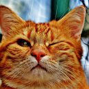 청라루비동물병원 이미지