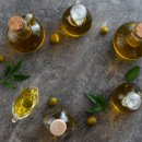 올리브독 이미지