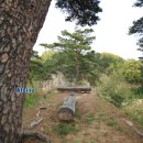 주천대 티스토리