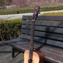 쉽게배우는 통기타연주 이미지