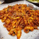홍기와 쭈꾸미 이미지
