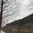 나주 글램핑 어스 이미지