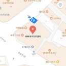 365출력 | MOS 365 Expert 자격증 독학 후기의 모든 것