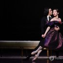 카멜리아 - 여수시 금천1길 45 | 카멜리아