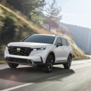 C.D.V 시스템 이미지