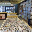 정도프라자 안경원 이미지