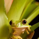 가족약국 이미지