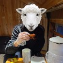 황산시장화장실 이미지