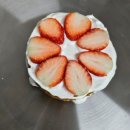 크리스마스 케이크 만들기 이미지