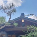 고바우펜션2 이미지