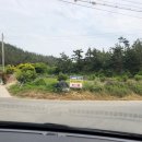 태안 서해땅끝파도리아치내캠핑장 프라이빗 해변 아이들과 반려견 동반 가능