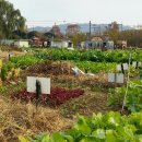 솔이농장 이미지