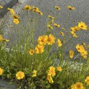 신둔체육공원 이미지