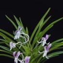 무명농장 이미지