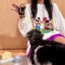 메리지아레 이미지