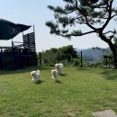 고마웠다펜션 이미지