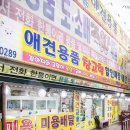 정왕동 애견용품 창고형 할인매장(비제이코리아) | 믿음직스러운 정왕동애견용품할인점!! 비제이코리아 배곧강아지분양/정왕동강아지분양~