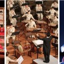 2015 토요명품공연 이미지