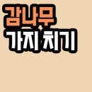 나무&가지