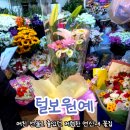 털보원예 - 은평구 통일로80길 8 | 은평구 연신내 꽃집 저렴한 털보원예 여친 선물 만족 후기