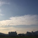 제산로 이미지