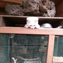 테마민박 이미지