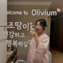 멍하루 스포츠조선