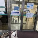 금동네 사랑방 네이버블로그