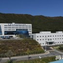 디자인대진 이미지