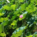 부연공원 이미지