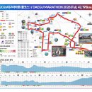페이스맵(주) | 2026 대구마라톤 5위 입상 (02:36:25) 후기